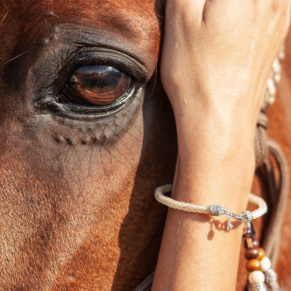 @Sanybz1 @Jh.ibifoto